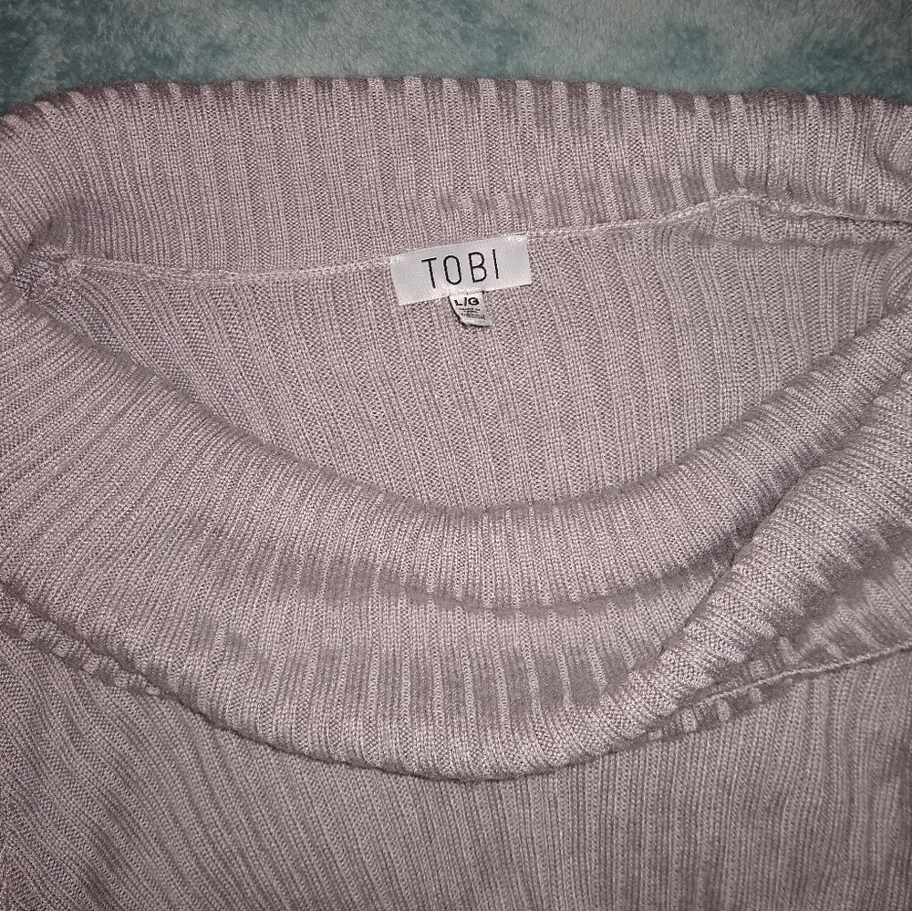 Tobi mock neck sweater dress
